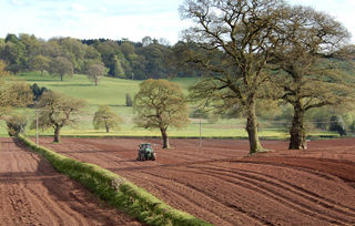 Spring sowing, Derbyshire